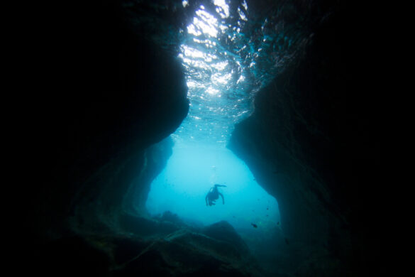 Cave diving at the Poor Knights Islands Marine Reserve.