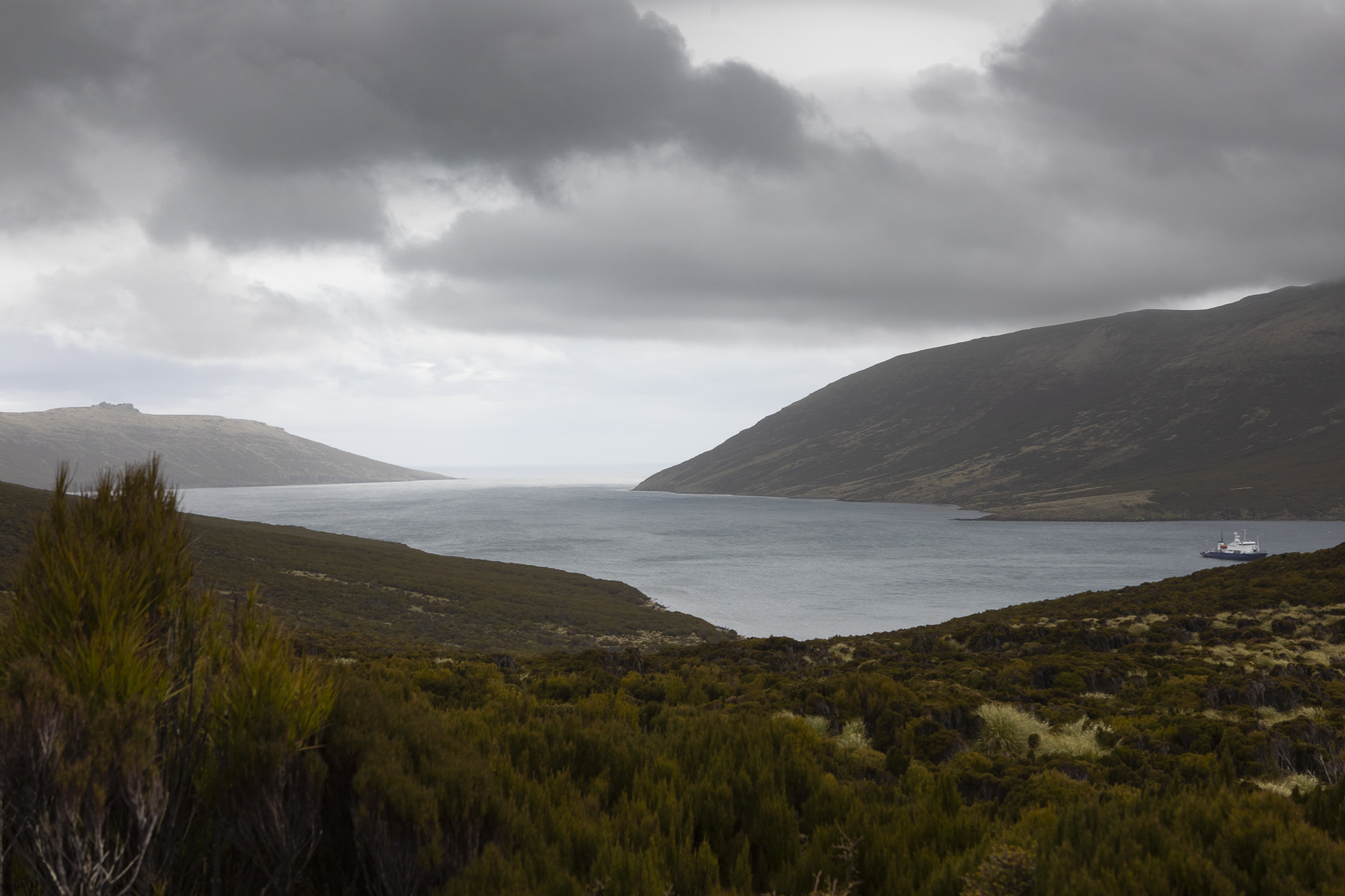 Subantarctic Surf Discovery, Part 1 Campbell Island New Zealand Surf