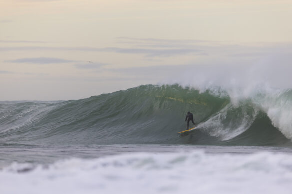 The early bird gets the worm. Photo: Derek Morrison