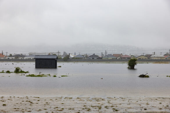 Flooding at Forbury Park, Dunedin. Photo: Derek Morrison