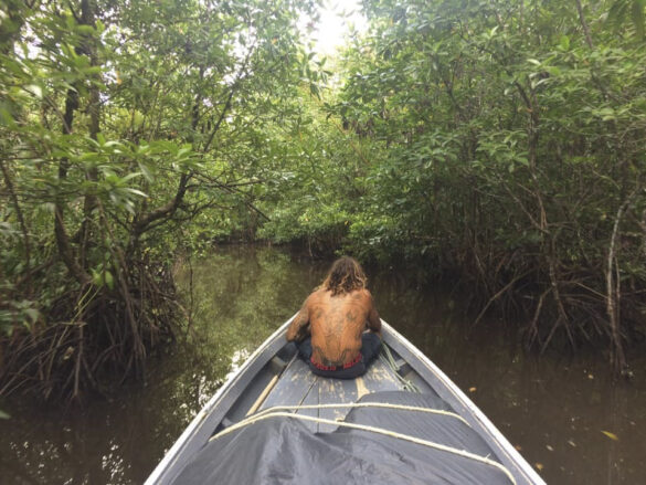 Camp owner Mossimo directing our canoe through the labyrinth of mangrove swamps. Photo: Leigh Sullivan