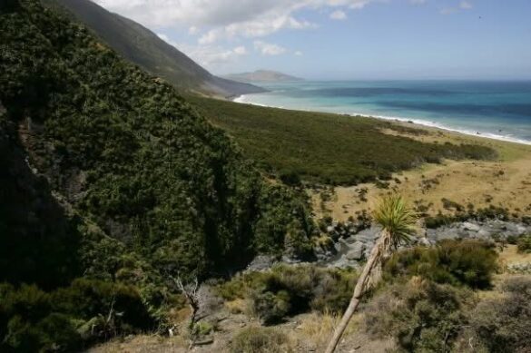 A truly stunning coastline.