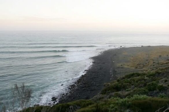 The lineup at Seconds.