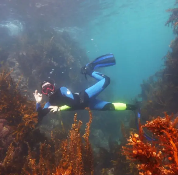 Working at Tāwharanui Marine Reserve, New Zealand. Photo: Lydia Green